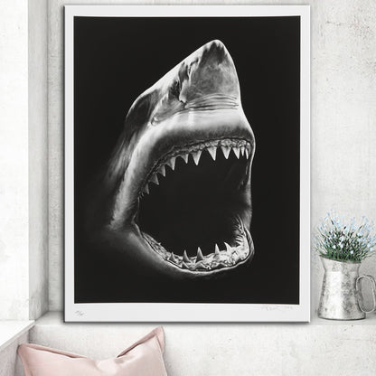 Quadro Squalo
