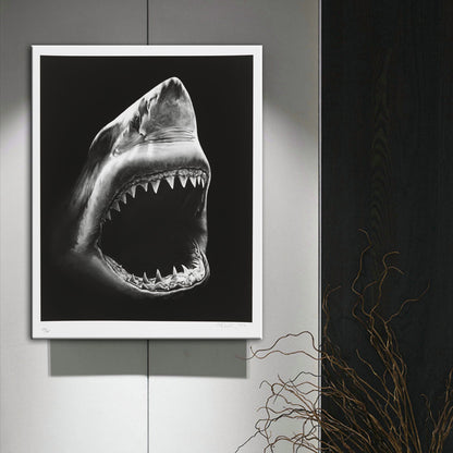 Quadro Squalo