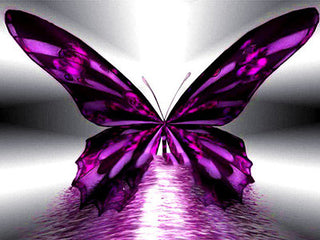 Quadro Diamante Farfalla