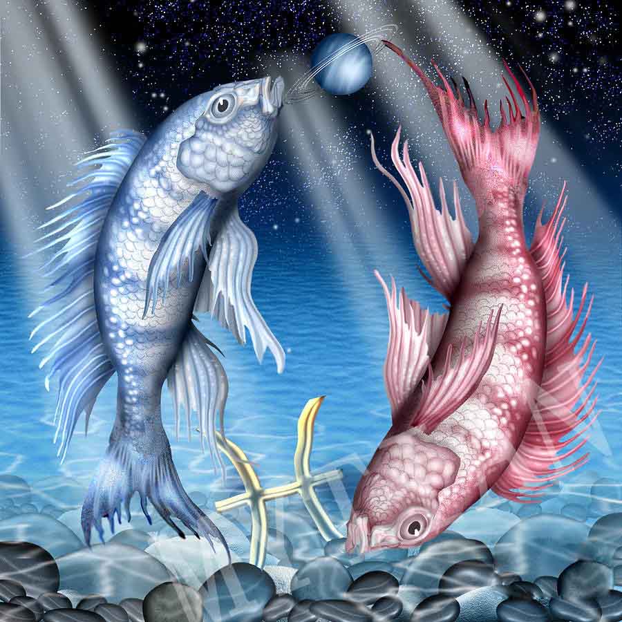 Ricamo diamante zodiacale