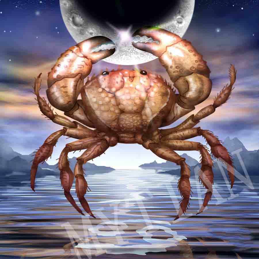 Ricamo diamante zodiacale