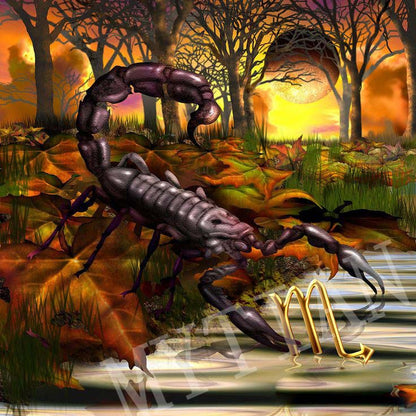 Quadro zodiaco