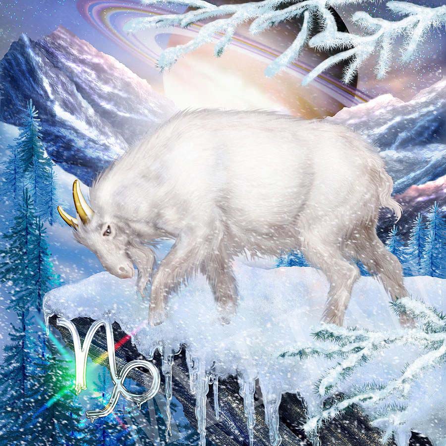 Quadro zodiaco
