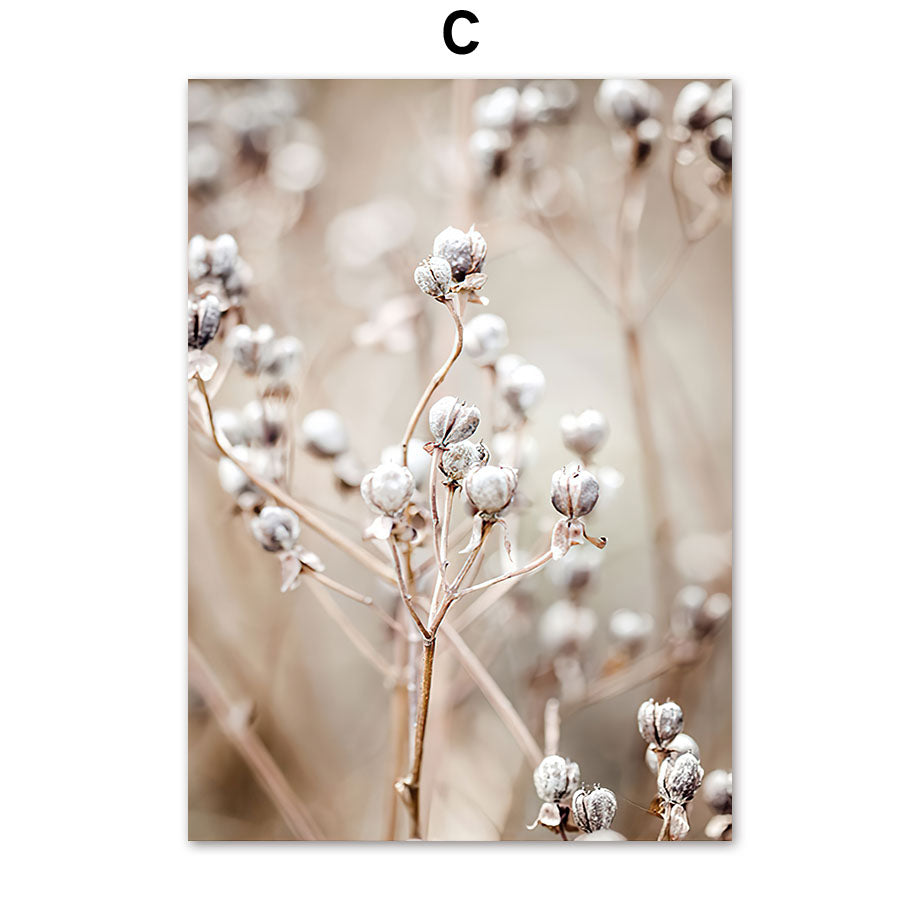 Poster natura