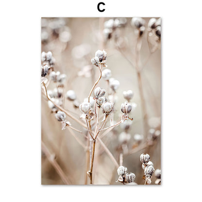 Poster natura