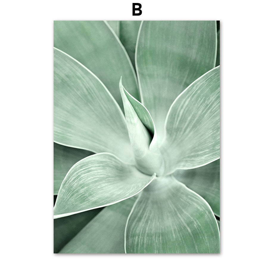 Poster natura