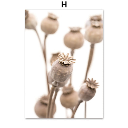 Poster natura