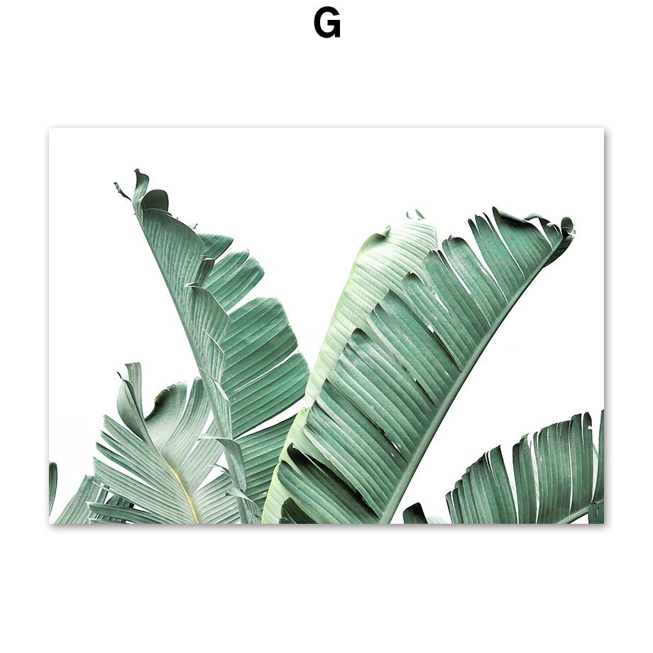 Poster natura