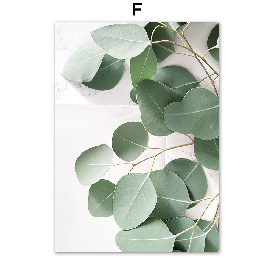 Poster natura