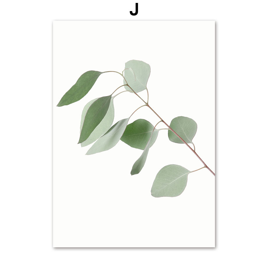 Poster natura