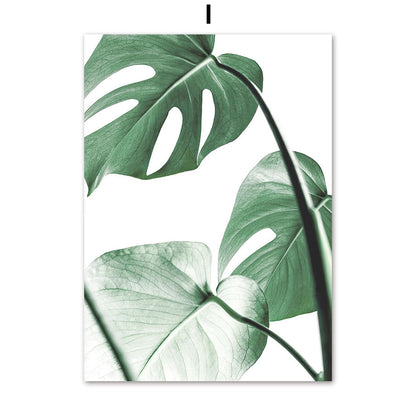 Poster natura
