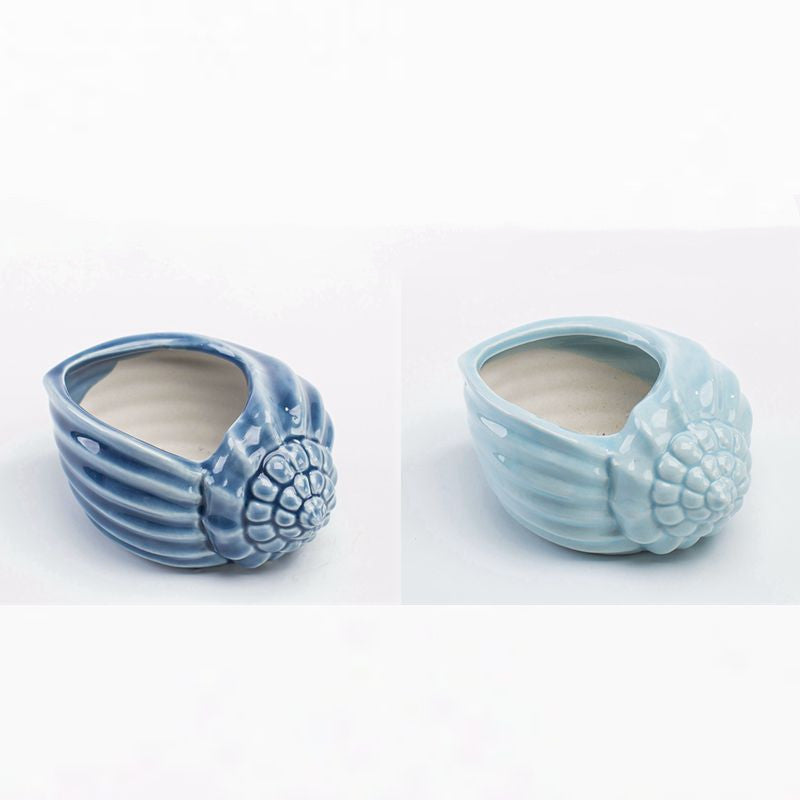 Vaso per piante grasse blu