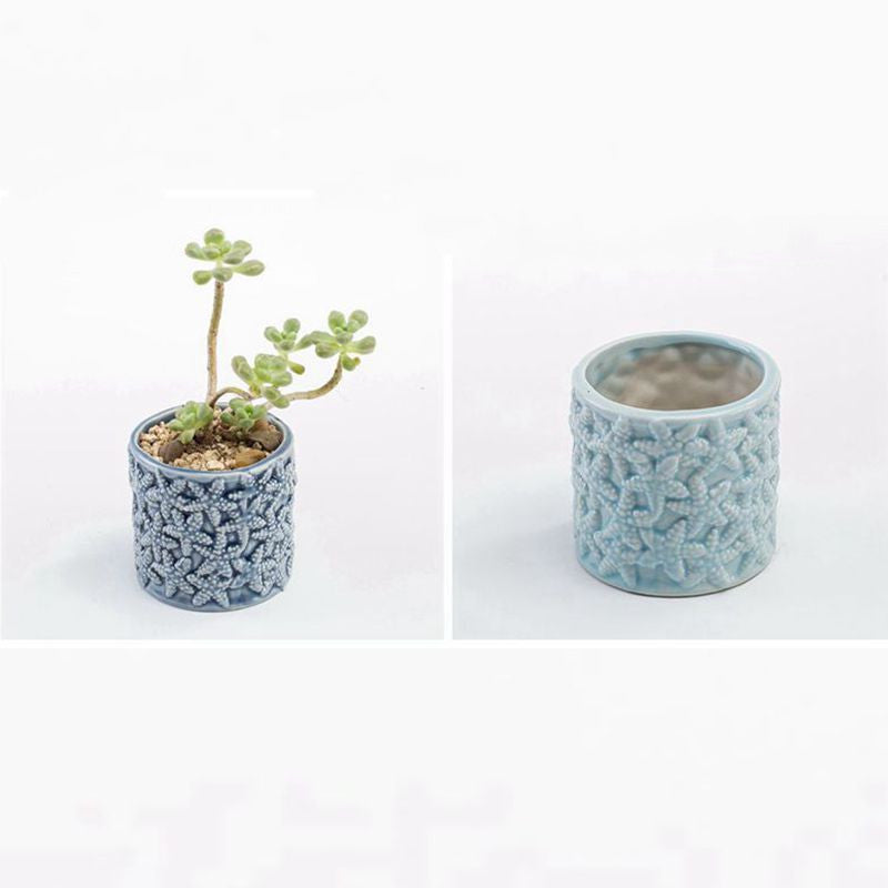 Vaso per piante grasse blu