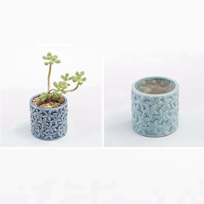 Vaso per piante grasse blu
