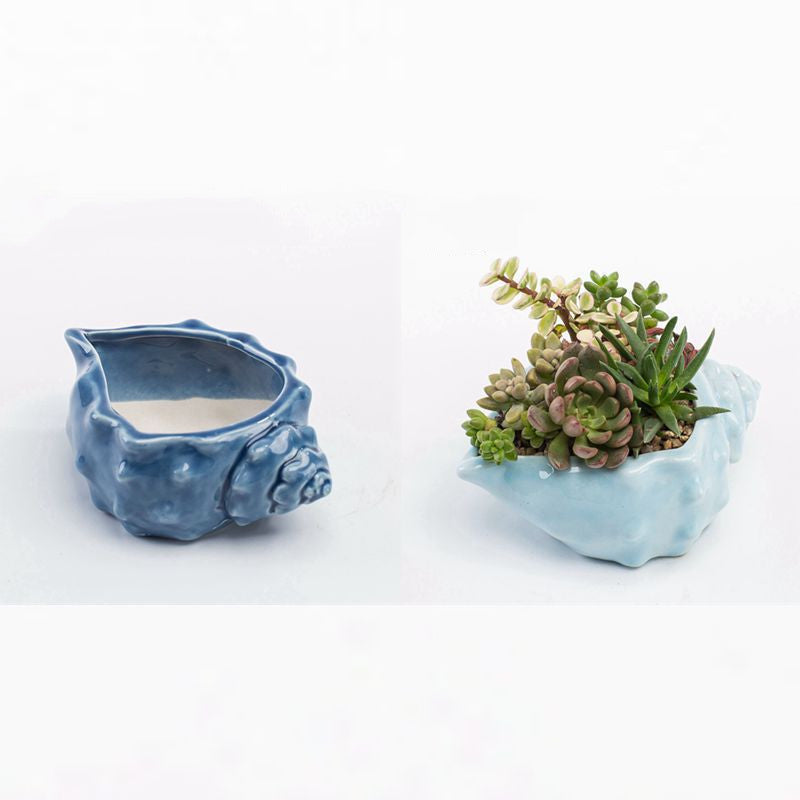 Vaso per piante grasse blu