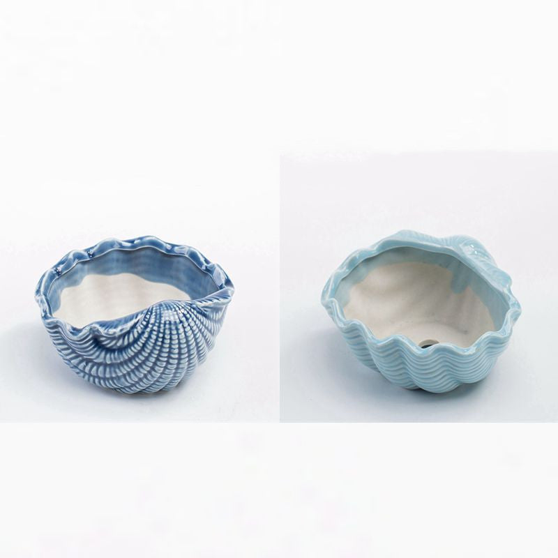 Vaso per piante grasse blu