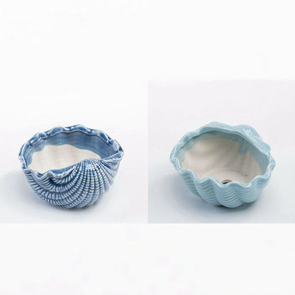 Vaso per piante grasse blu