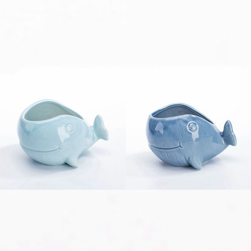 Vaso per piante grasse blu