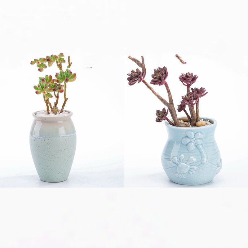 Vaso per piante grasse blu