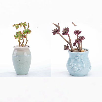 Vaso per piante grasse blu