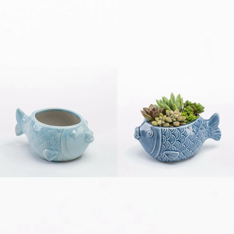 Vaso per piante grasse blu