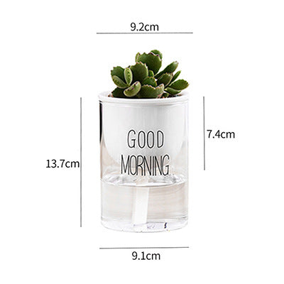 Vaso piante grasse Nordic