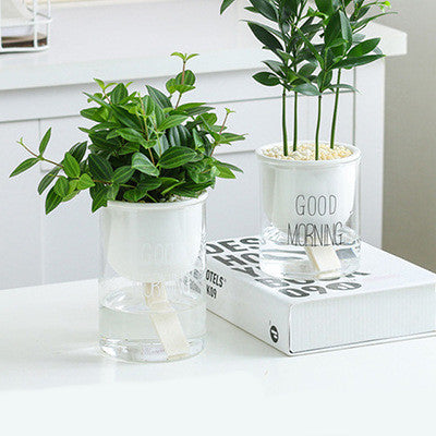 Vaso piante grasse Nordic