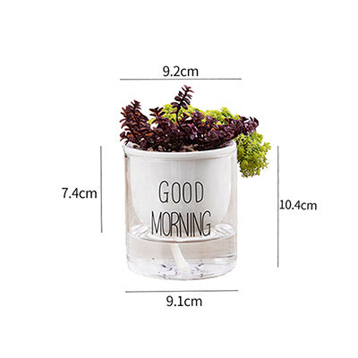 Vaso piante grasse Nordic