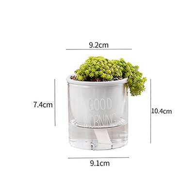 Vaso piante grasse Nordic