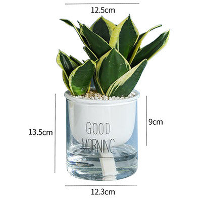 Vaso piante grasse Nordic