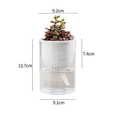 Vaso piante grasse Nordic