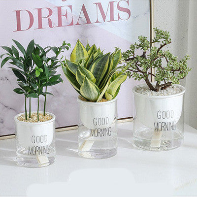 Vaso piante grasse Nordic