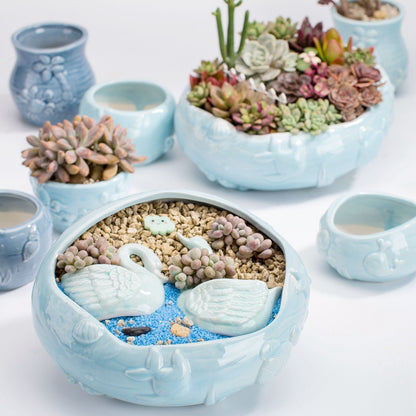 Vaso per piante grasse blu