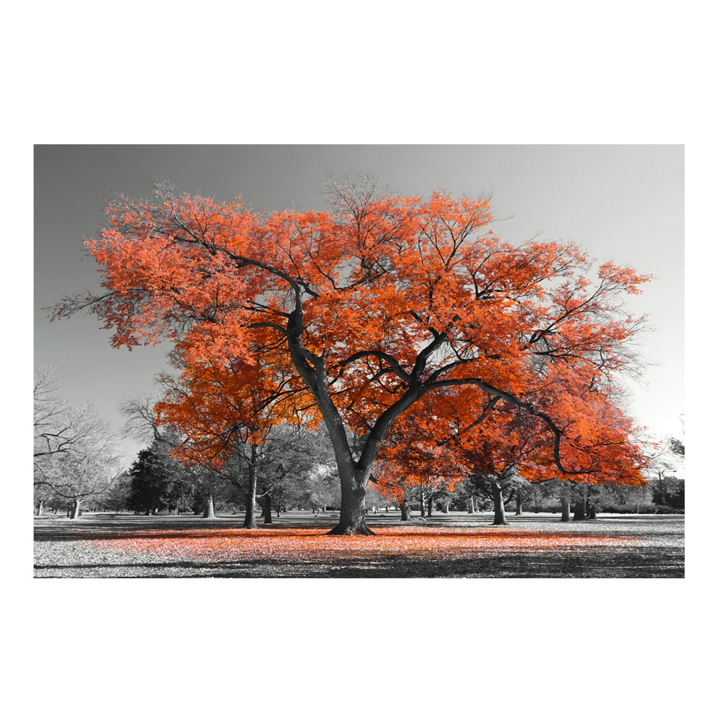Quadro paesaggio