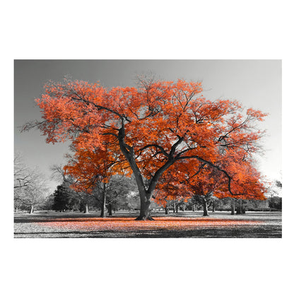 Quadro paesaggio