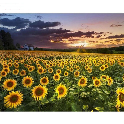 Quadro ricamo girasole