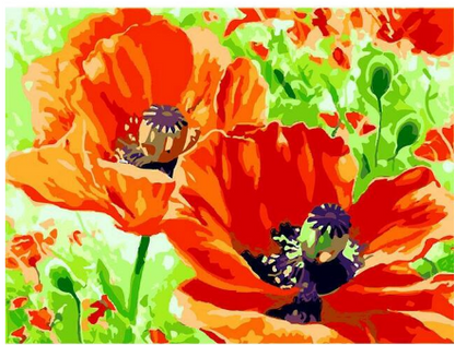Kit fiori d'arancia