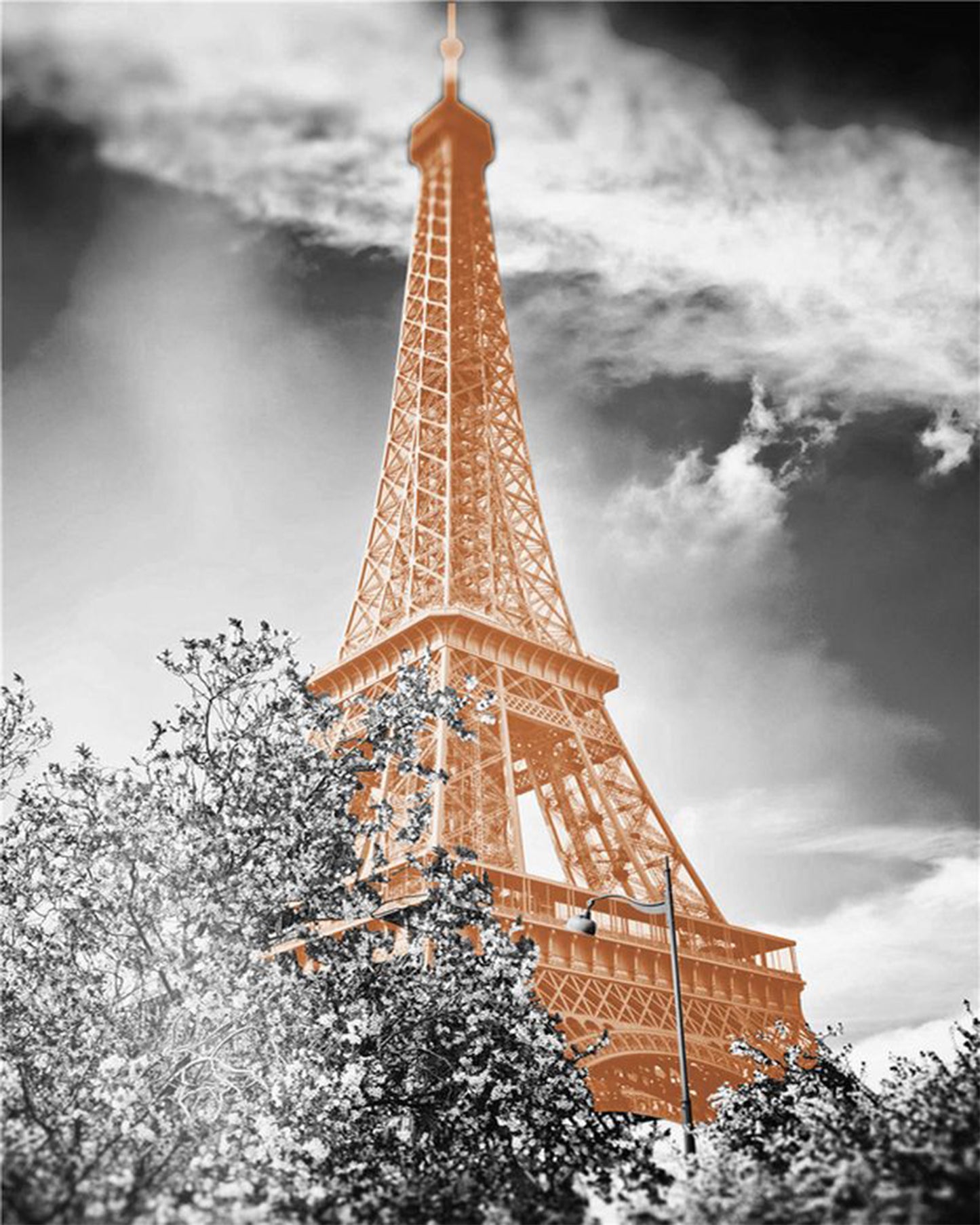 Quadro Parigi Torre Eiffel