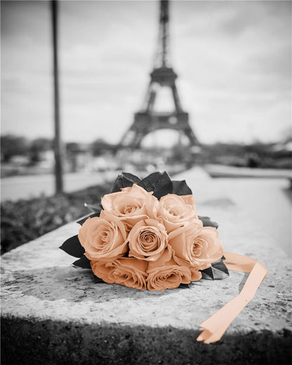 Quadro Parigi Torre Eiffel