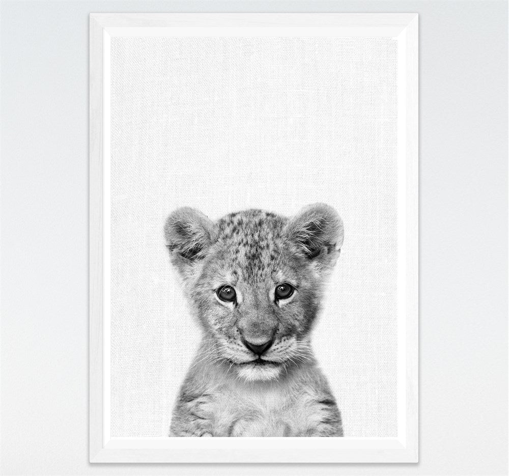 Tela Animali B/N