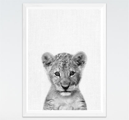 Tela Animali B/N