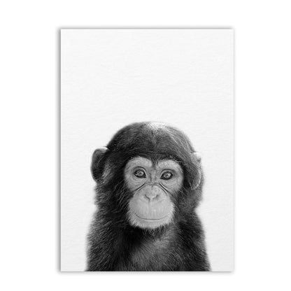 Tela Animali B/N