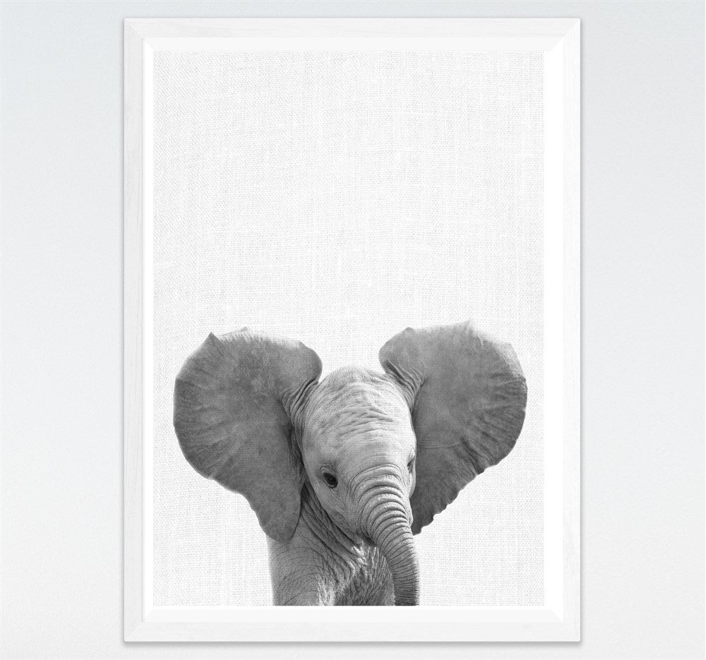 Tela Animali B/N