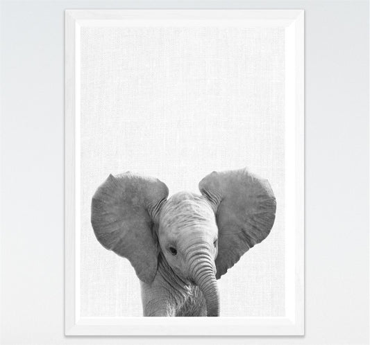 Quadro su tela Elefante in primo piano