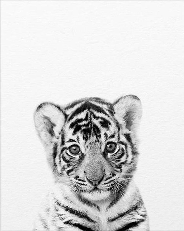 Tela Animali B/N