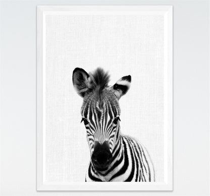 Tela Animali B/N