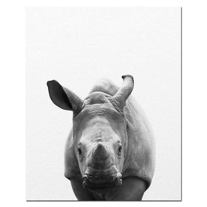 Tela Animali B/N