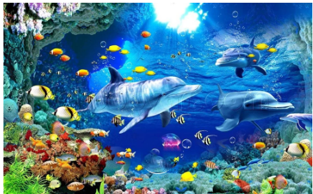 Kit Pittura Pesci Oceano