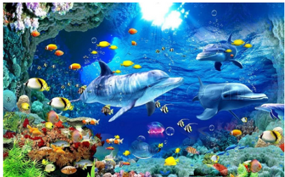 Kit Pittura Pesci Oceano