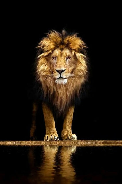 Poster leone